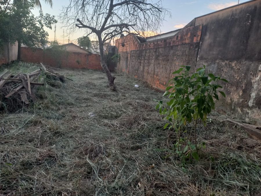 Terreno - Venda - Presidente - Araçatuba - SP