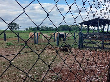 S�tio pequeno pr�x. � cidade de Ara�atuba, com benfeitorias!