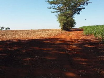 Sitio em Ara�atuba!! Bem pr�ximo � cidade!! 8 Alqueires!